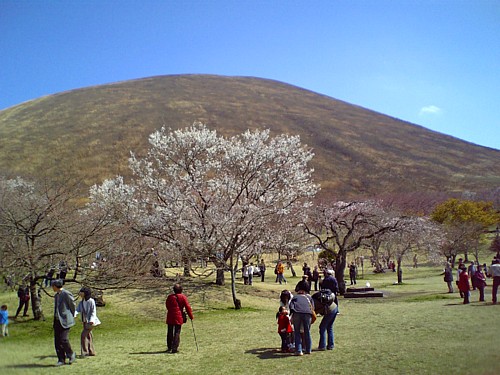 大室山・さくらの里-00035.jpg