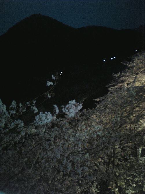 月と桜-00012.jpg