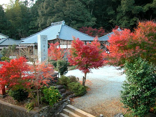 秋の善名寺-0034.jpg