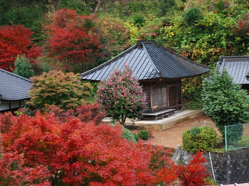 5600-紅葉善名寺.jpg