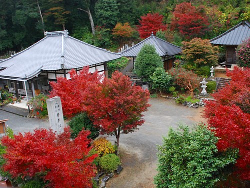 5604-紅葉善名寺.jpg