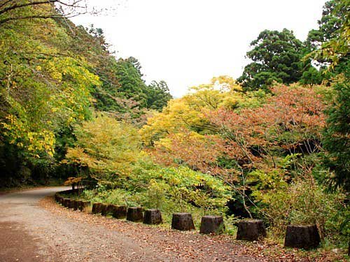 天城峠・秋_0064-1.jpg