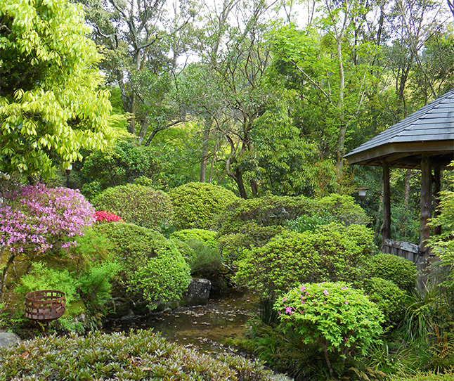 遠州流日本庭園