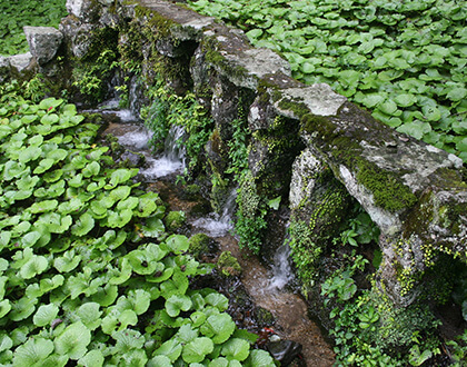 山海の地元素材と水へのこだわり