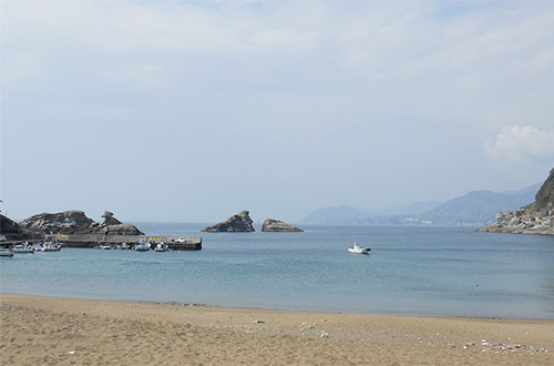 気軽な 沼津の海 ＆ 奥が深い 松崎の海