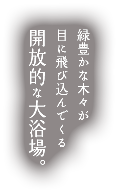 緑豊かな木々が目に飛び込んでくる開放的な大浴場。