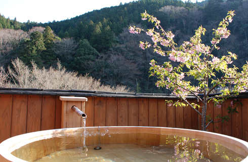 時わすれの湯～入ったら出られなくなる？