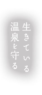 霊泉 子宝の湯 伊豆天城温泉郷 吉奈温泉 御宿 さか屋 公式サイト