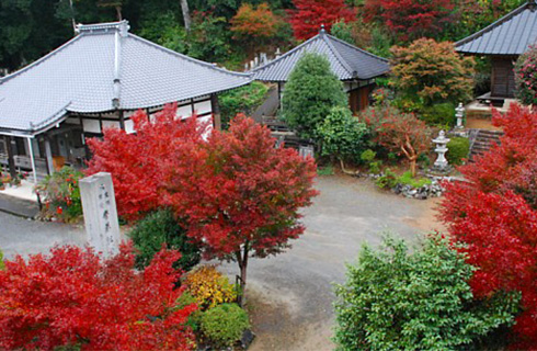 「子宝の湯」と古刹「善名寺」